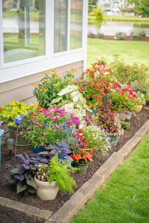 Colorful mixed annual bed and container plantings along a lakeside home's foundation