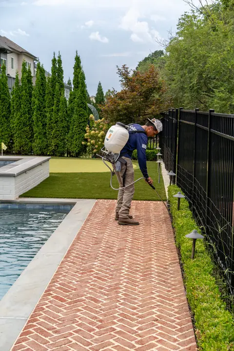 KalKare technician applying treatment along a brick poolside walkway lined with arborvitae