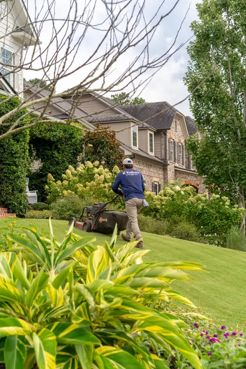 KalKare crew member mowing the lawn of a landscaped home with hydrangeas in bloom