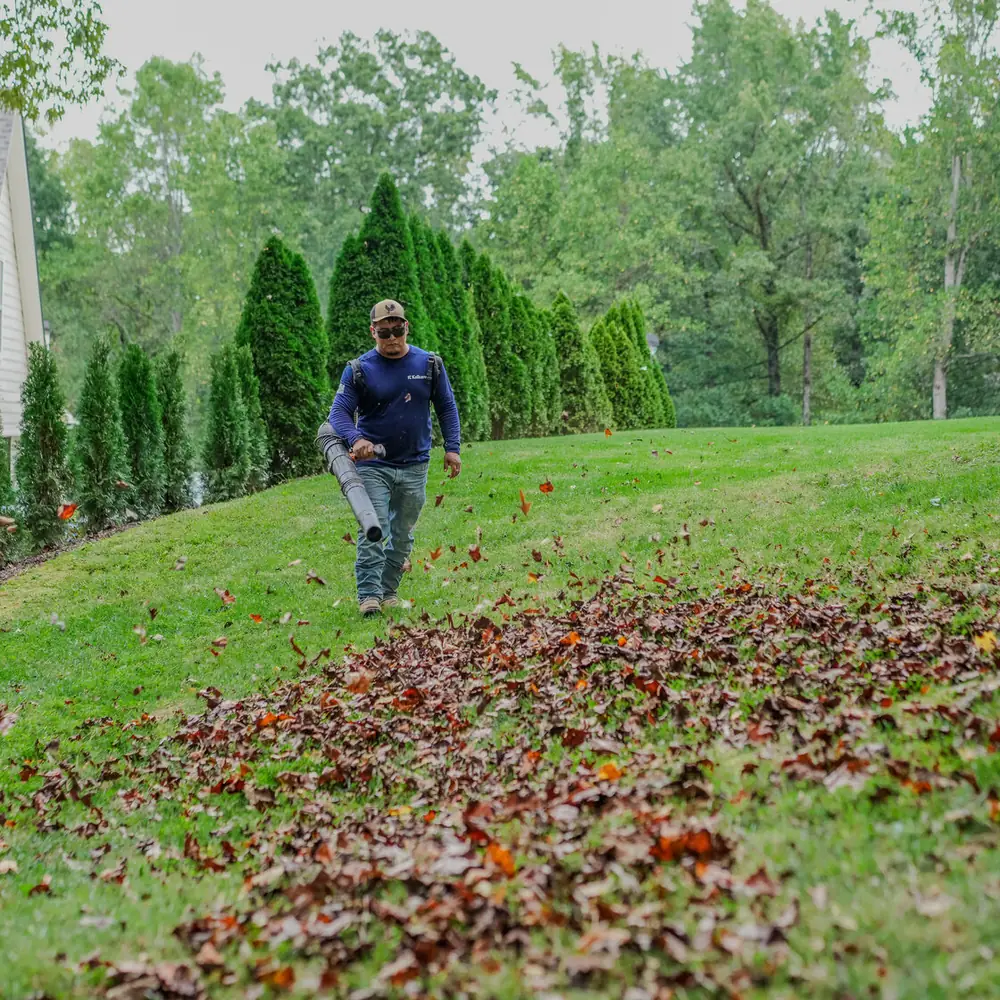 KalKare crew member clearing fall leaves with a leaf blower on a sloped lawn