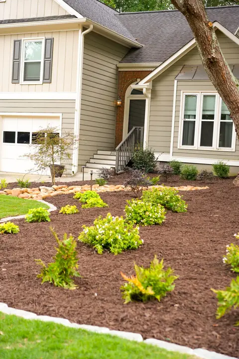 Freshly mulched front-yard bed with young plantings and a river-rock border at a craftsman-style home