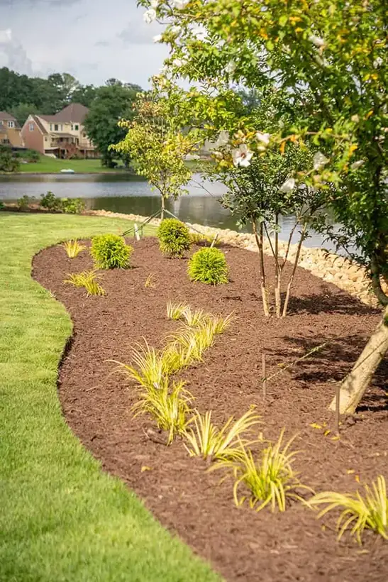 Curved mulch bed of ornamental grasses beside the lake